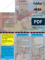 Leaflet Mrsa PDF