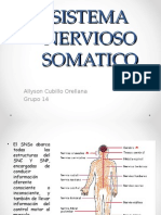 Sistema Nervioso Somatico y Enterico