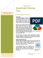 Quadruple Bottom Line: Introducing The Concept