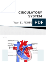 Circulatory System