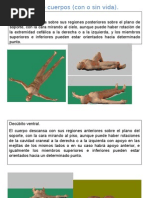 Posicion Cadaveres