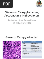 Clase 6-2°cap Campylobacter, Arcobacter y Helicobacter