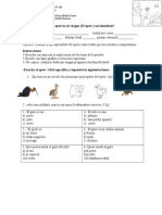 Prueba Primero Basico Epew Abril