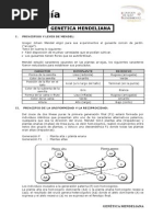 Genética Mendeliana