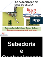 Curso de Capacitação de Líderes IV 2014