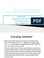 Pengaruh Intensitas Cahaya Terhadap Tanaman Kacang Kedelai