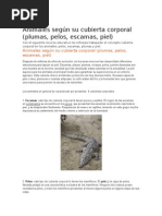 Animales Según Su Cubierta Corporal