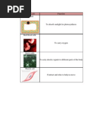 Type of Cell PDF