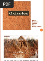 OXISOLES