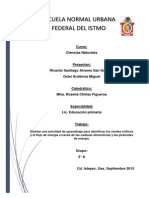 Diseñar Una Actividad de Aprendizaje para Identificar Los Niveles Tróficos y El Flujo de Energía A Través de Las Cadenas Alimenticias y Las Pirámides de Energía