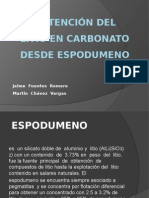 Proceso Del Litio Desde Espomudeno