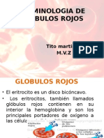 Globulos Rojos