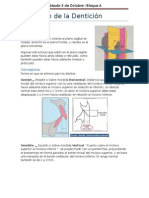 Desarrollo Dentario