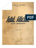 Satul Sălciile-Studiu Monografic Partea Întâi