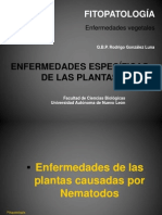 Enfermedades Especificas de Las Plantas (Nematodos)