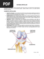 Anatomía - Sistema Articular 