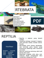 Vertebra Reptil