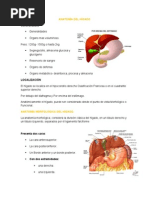 Anatomia Del Higado y Estudio de La Funcion Hepatica