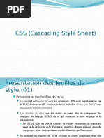 Css Cours - M. Adil Kenzi ENSAF