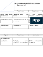 Diferencia Entre Procarionte y Eucarionte