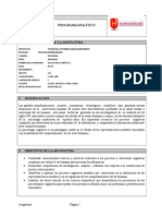 Formato Programa Analitico Psicologia Cognitiva II