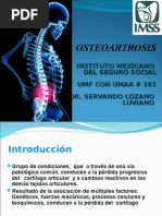 Osteoartrosis