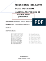 Teoria Del Apego Informe Final