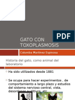 El Gato en El Estudio de La Toxoplasmosis