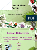 Functions of Plant Parts:: An Introduction To Our Exciting Exploration of Botany Presented By: Miss Herman