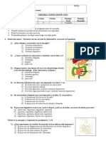 Prueba de Sistemas de 5º Año Básico 2