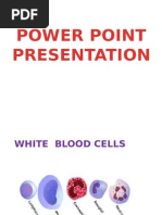 Powerpoint Presentation