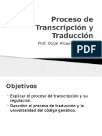 Proceso de Transcripción y Traducción