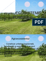 Agro Eco Siste Me