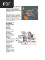 Curso Bomba VE