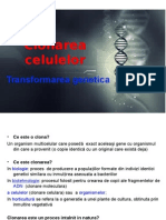 Clonarea Celulara Si Transformarea Genetica