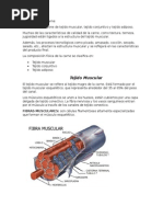 Estructura de La Carne