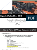 On LNG and FLNG