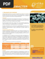 2 Campylobacter