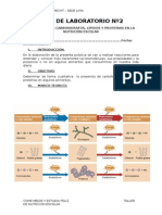 Guia de Laboratorio Nº2