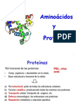 Aminoacidos y Proteinas