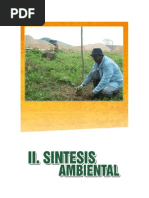 4 Sintesis Ambiental