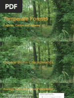 Temperate Forest