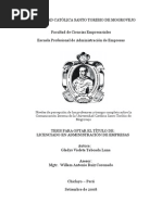 Tesis para Optar El Título De: Licenciado en Administración de Empresas