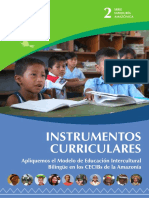 Instrumentos Curriculares Ul