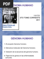 Genoma Humano 1