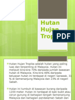 Hutan Hujan Tropika