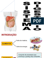 Sistema Digestorio