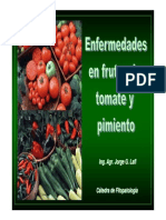 Enfermedades de Tomate y Pimiento - Bromatologia