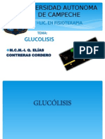 4.3.1-Glucolisis Con Bibliografías