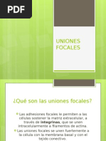 Uniones Focales